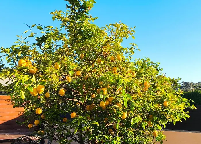 Adosado Con Jardin En Los Xalets De Salou